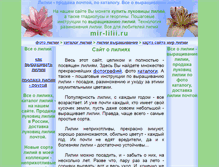 Tablet Screenshot of mir-lilii.ru
